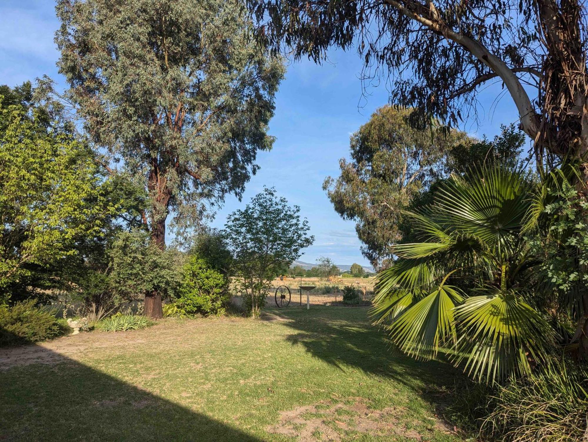 Cudgegong Valley Motel Mudgee Dış mekan fotoğraf