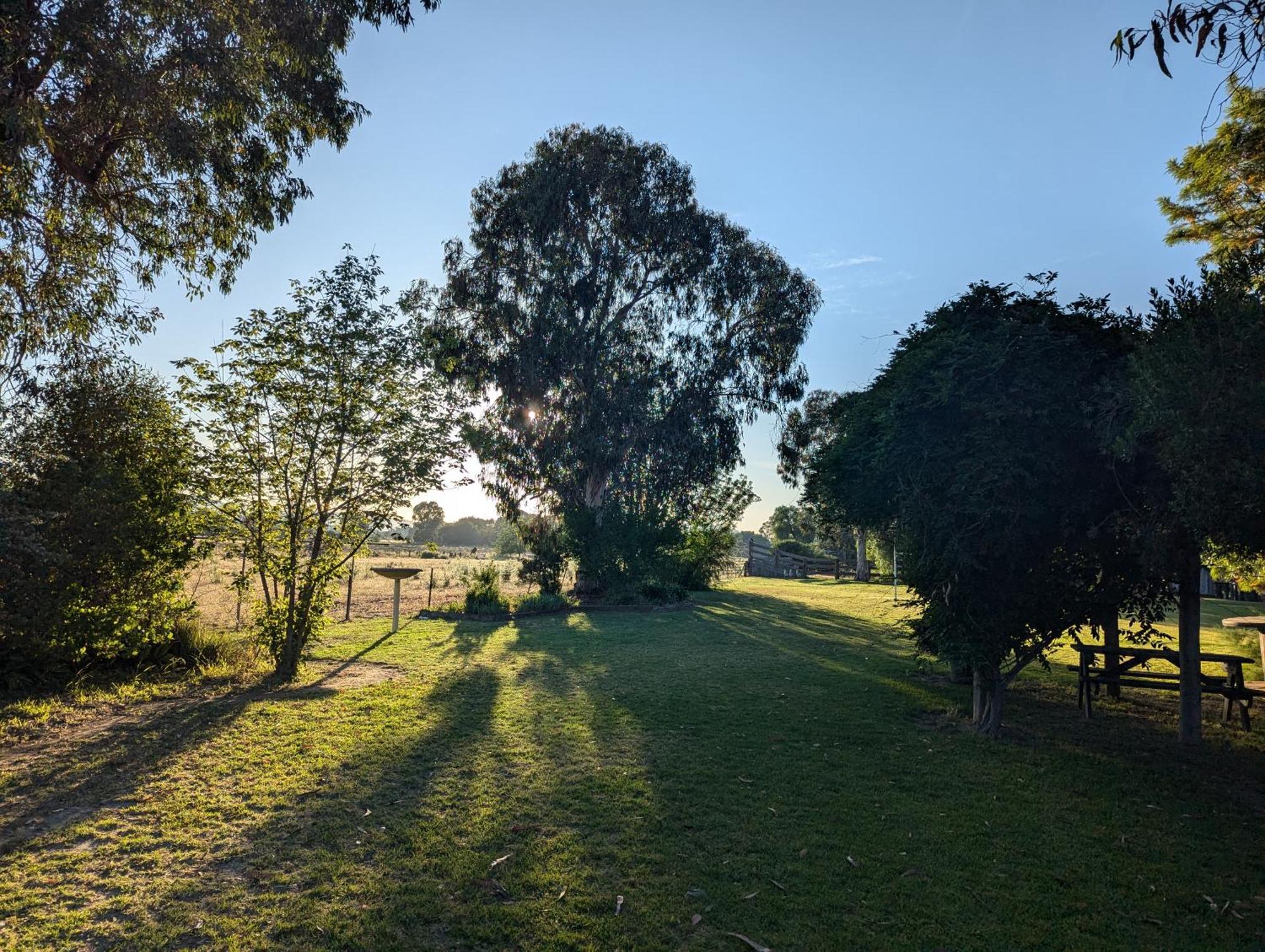 Cudgegong Valley Motel Mudgee Dış mekan fotoğraf