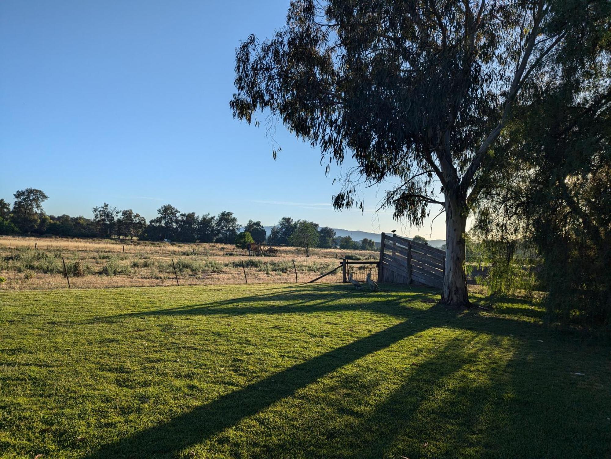 Cudgegong Valley Motel Mudgee Dış mekan fotoğraf