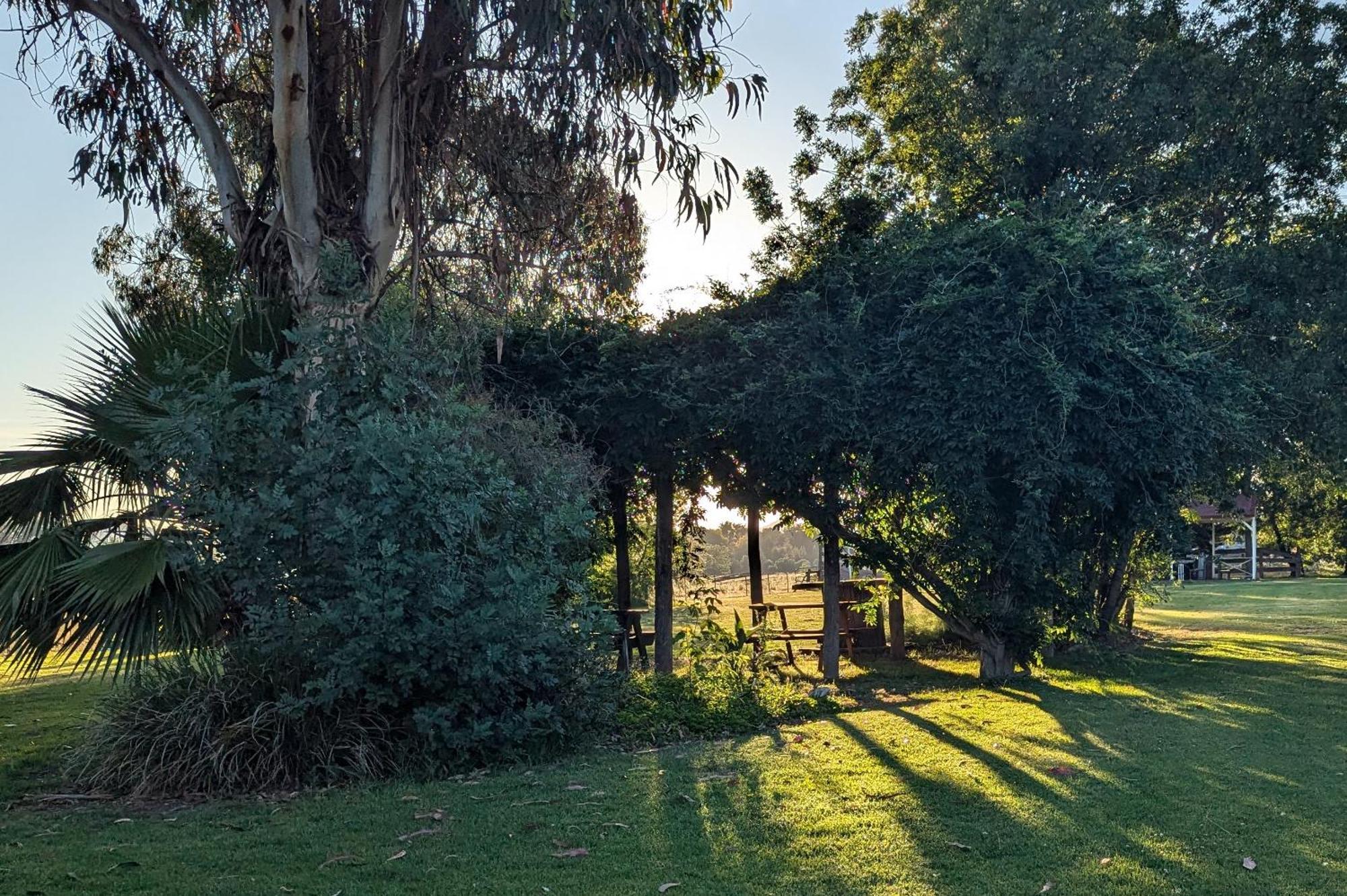 Cudgegong Valley Motel Mudgee Dış mekan fotoğraf
